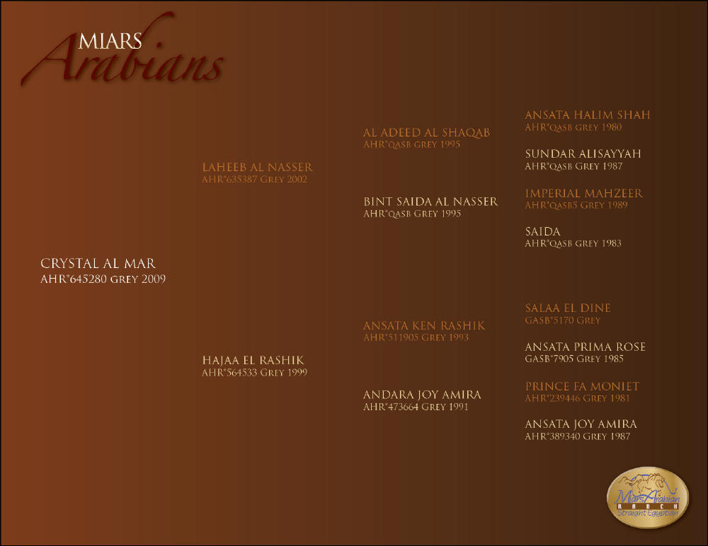Crystal Al Mar Pedigree