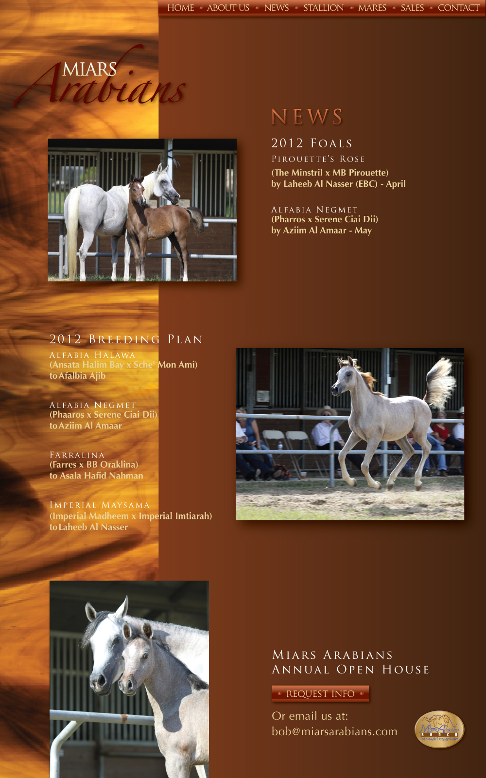 Miars Arabians News 2011 Foals - 2012 Breeding Plans - Miars Arabians Annual Open House