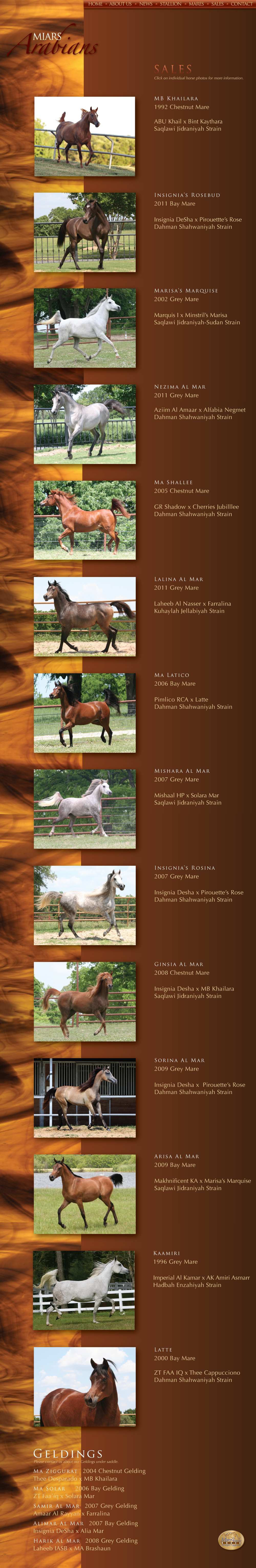 Miars Arabians Horses For Sale